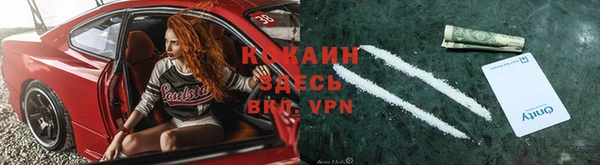 гидра Верея