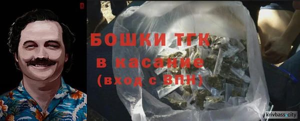 гидра Верея