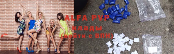 трава Бородино