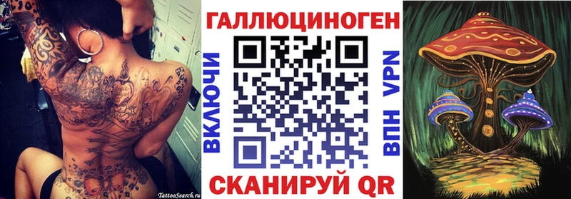 купить наркоту  Дятьково  гидра рабочий сайт  Галлюциногенные грибы Psilocybe 